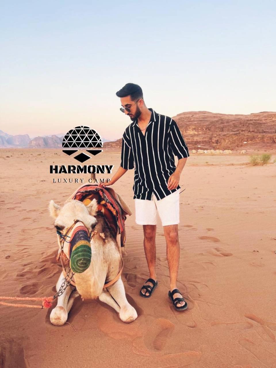 Harmony Luxury Camp Camping